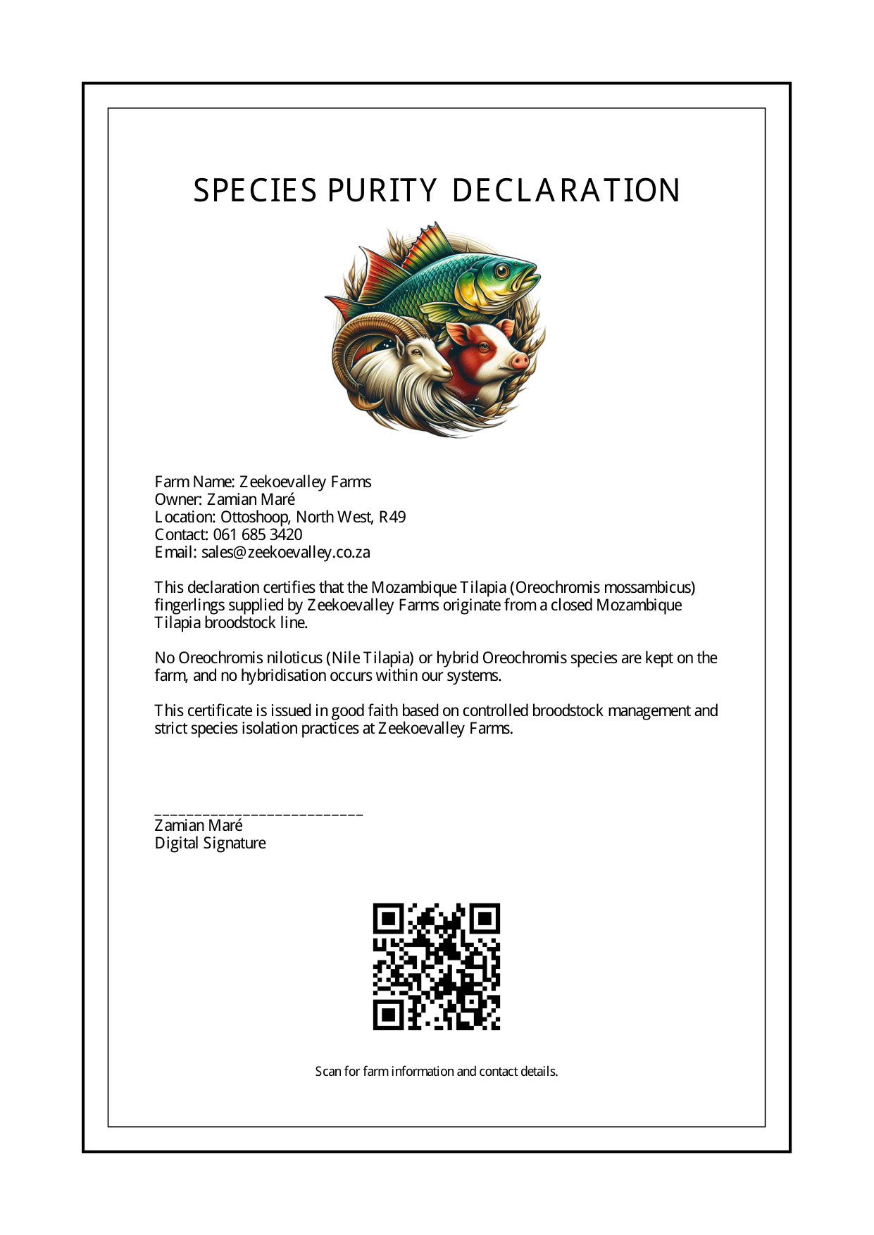 Mozambique Tilapia Fingerlings