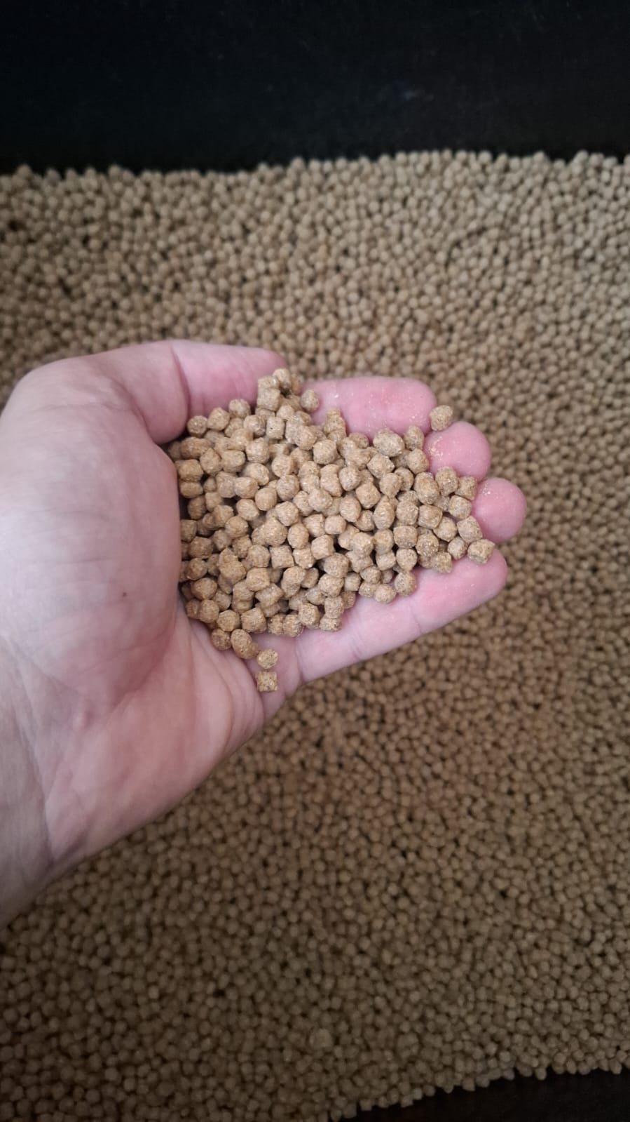 Zeekoevalley Premium Tilapia Feed – 32% Protein