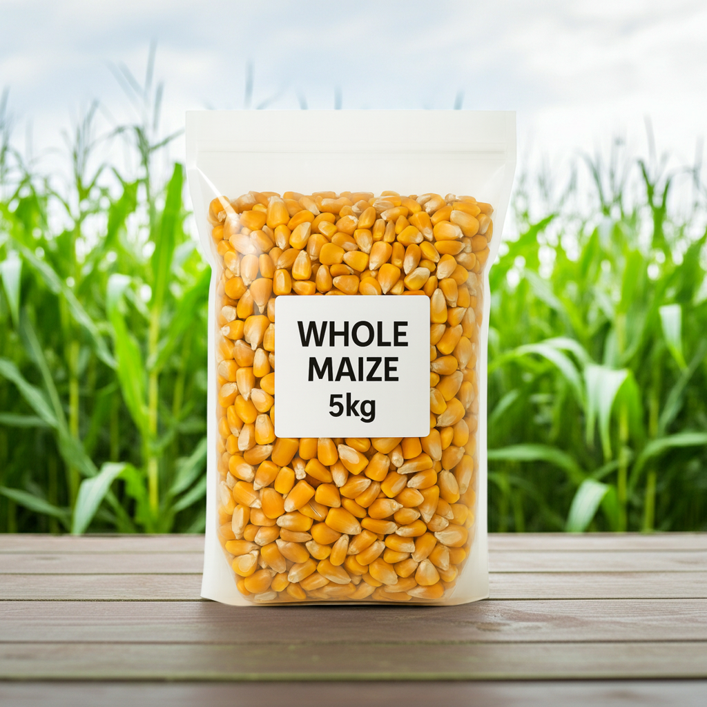 Whole Maize for Animal Feed | Poultry, Pigeons & Livestock