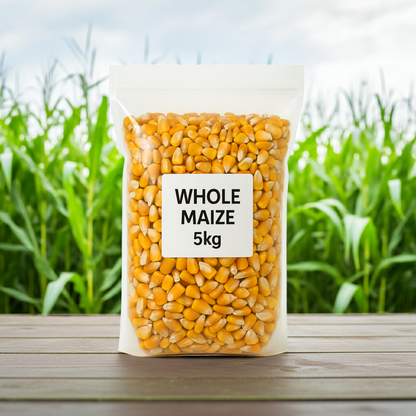 Whole Maize for Animal Feed | Poultry, Pigeons & Livestock