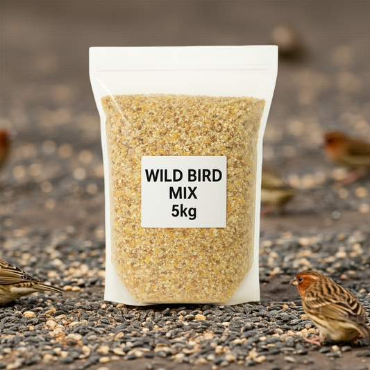 Wild Bird Seed Mix | Balanced Feed for Outdoor Birds